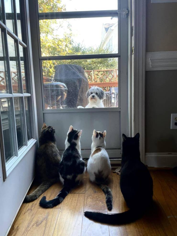 Подборка смешных картинок  приколы,смешные картинки,юмор