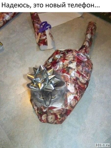 Девушка с маленькой грудью легко выносила из супермаркета то два апельсина, то два яблока. Спалилась на арбузах Девушка с маленькой грудью легко выносила из супермаркета то два апельсина, то два яблока. Спалилась на арбузах анекдоты,демотиваторы,приколы,юмор