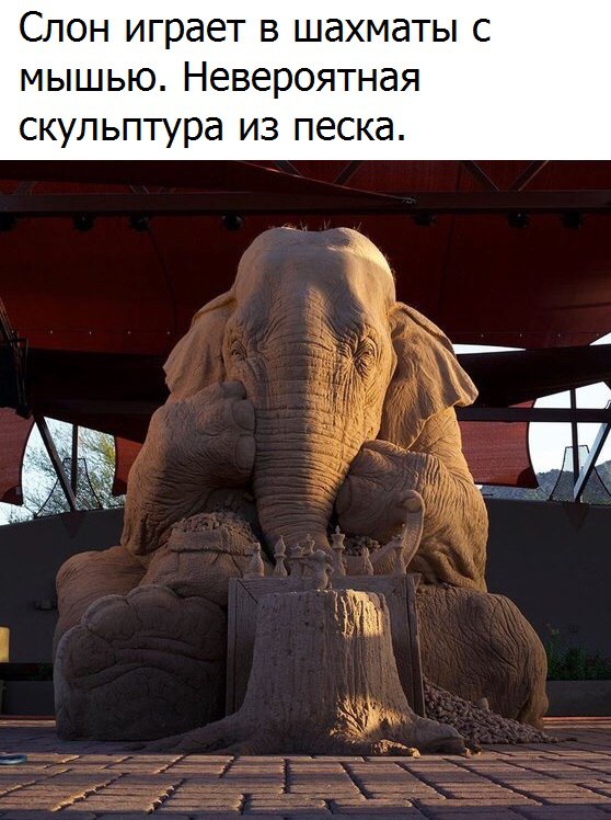 Позитивные фотографии и милые картинки для улыбки Позитивные фотографии и милые картинки для улыбки