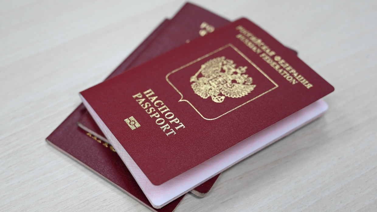 «Единая Россия» не обсуждала идею вернуть графу «национальность» в паспорт
