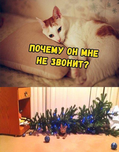 Новогодние мемы с приколами