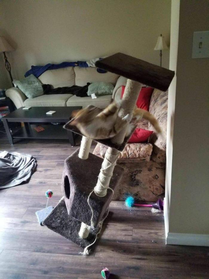 Подборка забавных картинок и смешных фото с надписями из сети Подборка забавных картинок и смешных фото с надписями из сети картинки с надписями,прикольные картинки,смешные комментарии,шикарные фотографии