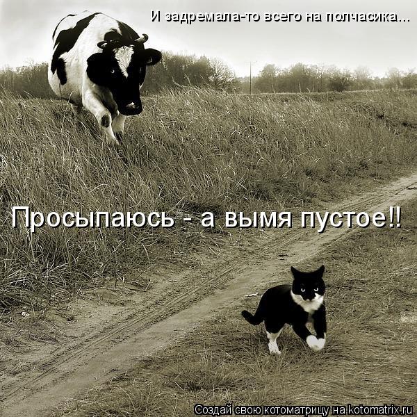 Котоматрица: Просыпаюсь - а вымя пустое!! И задремала-то всего на полчасика...