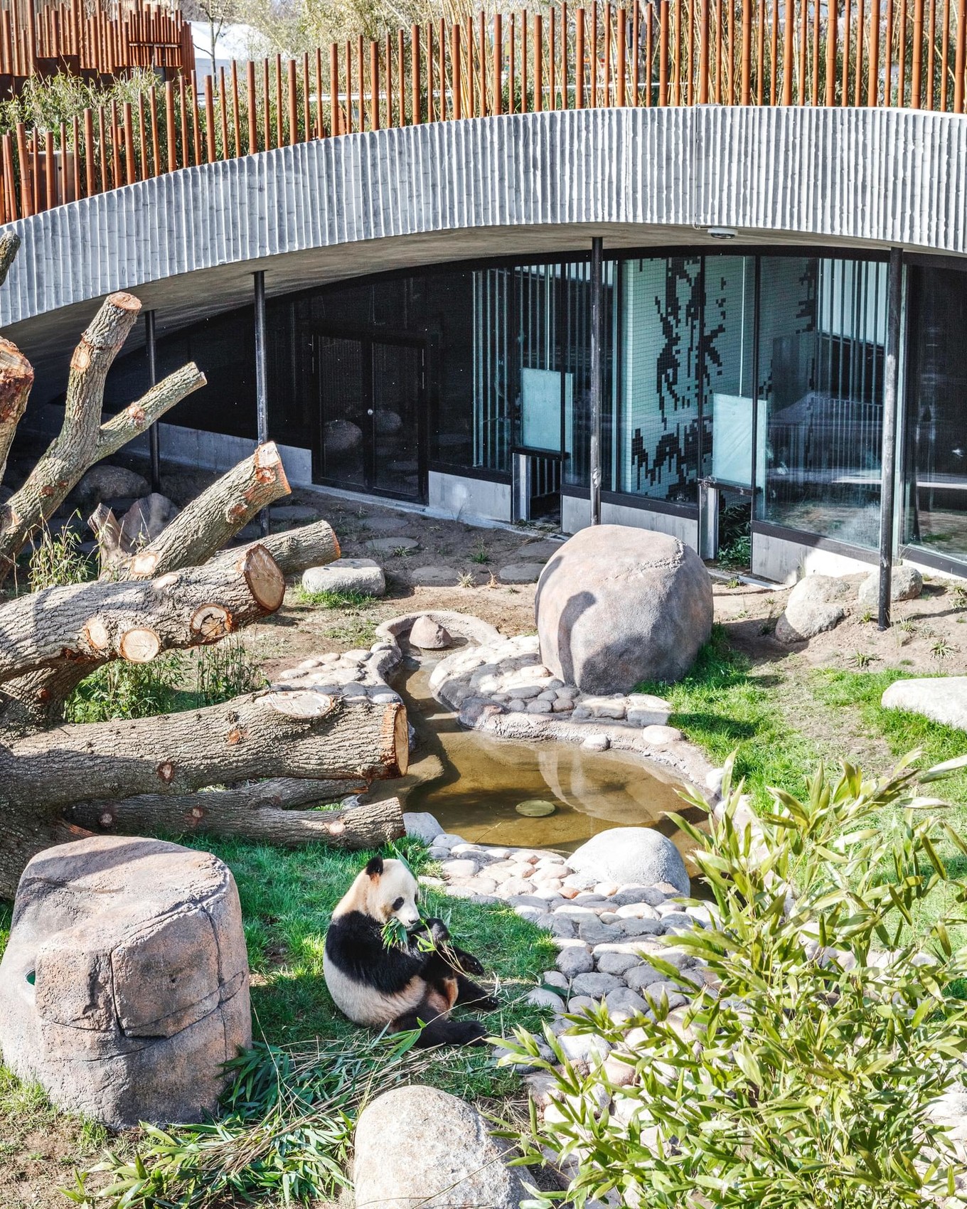 «Дом» для панд в Копенгагенском зоопарке
