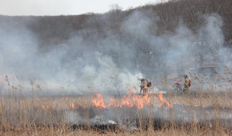 188 га леса сгорело в Нижегородской области