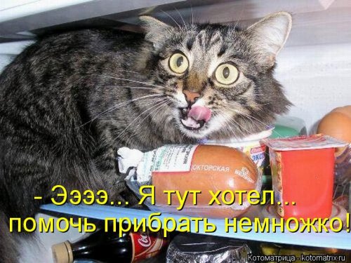 Котоматрица для всех позитив