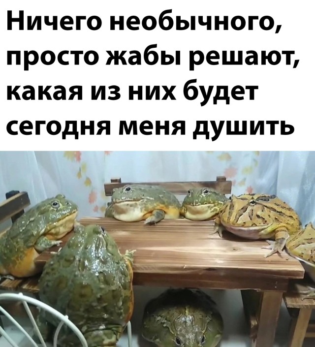 Подборка смешных картинок  приколы,смешные картинки,юмор