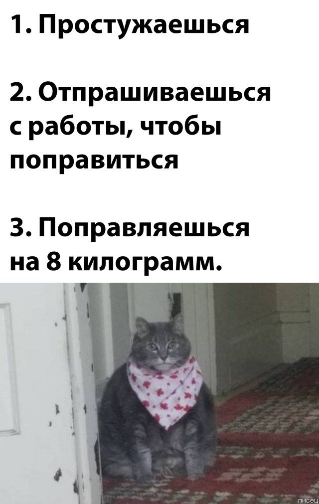 25 приколов января позитив,смешные картинки,юмор