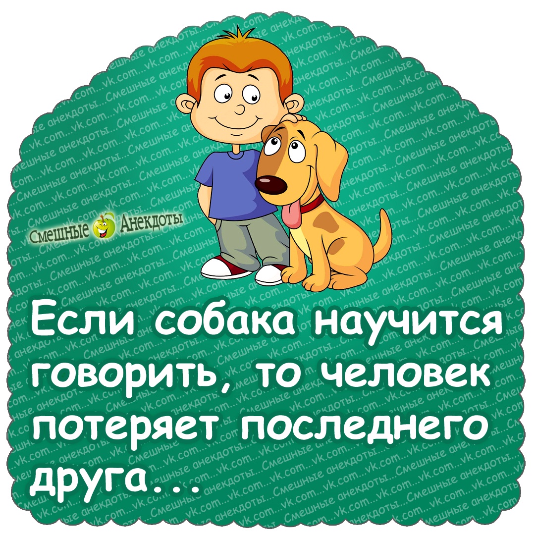 Юмор из интернета 728 Юмор из интернета 728 позитив,смех,улыбки,юмор