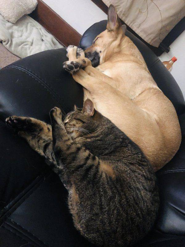 Середина недели — приколы подоспели: «Что нравится в постели?» 