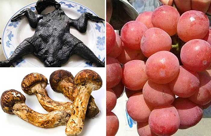 Самые дорогие и необычные продукты в мире