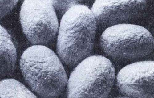 Чудо с продолжением интересное,наука