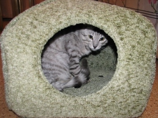 Что сшить из старого пальто? 10 идей на выбор новая жизнь старых вешей,рукоделие,самоделки,своими руками,сделай сам,умелые руки