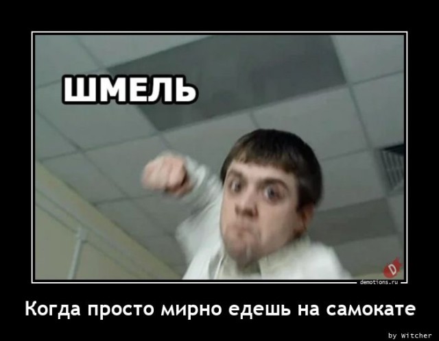 Демотиваторы на любой вкус: «И так всю неделю» Демотиваторы на любой вкус: «И так всю неделю»