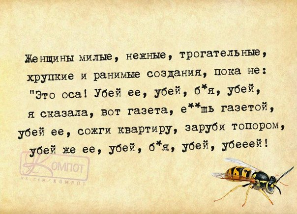 Страшно отправлять ребёнка к бабушке: сплошная утечка информации...