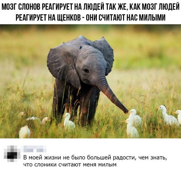 Смешные комментарии  позитив,смешные картинки,юмор