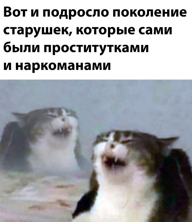 Подборка прикольных картинок Подборка прикольных картинок приколы,смешные картинки,юмор