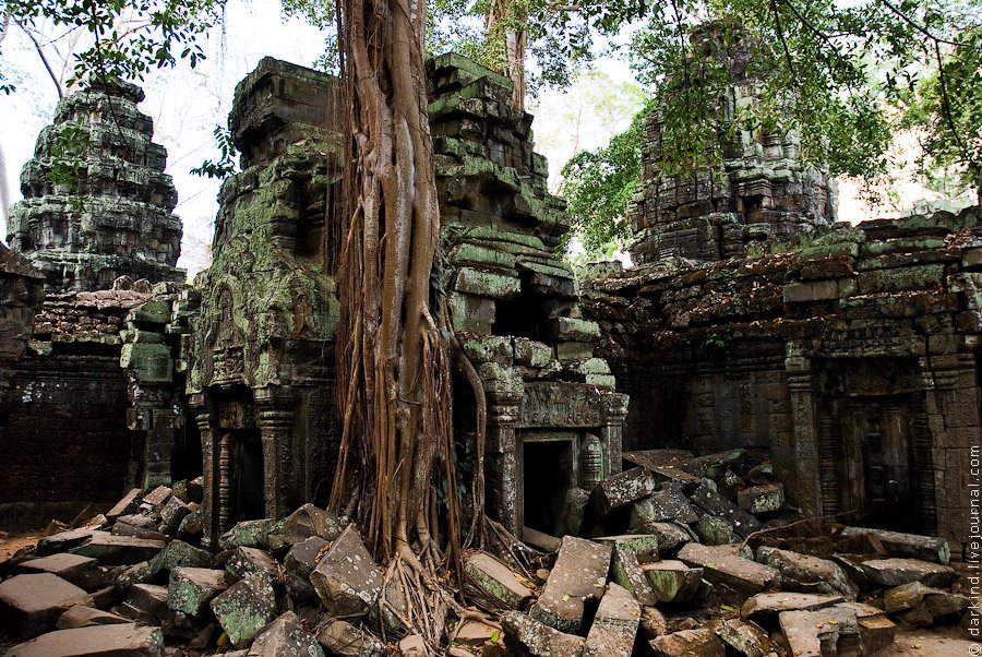 Камбоджийский храм Та Пром (Ta Prohm) и гигантские деревья можно, храмов, блоки, деревья, храма, несколько, когда, вековые, Ангкор, стенами, более, дерево, туристов, много, Тетрамелеса, корни, которую, будто, вросло, Ficus