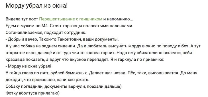 20 раз, когда люди в полной мере испытали на себе, что такое “неловкий случай” 