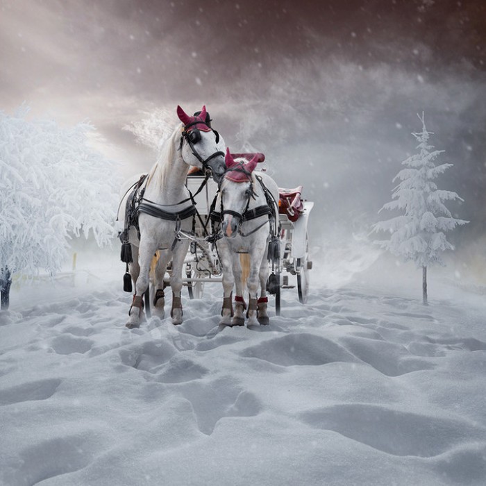 Сказочная зима. Фотохудожник  Караш Йонуц (Caras Ionut).