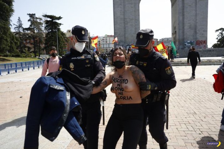 FEMEN шалили в Мадриде FEMEN шалили в Мадриде FEMEN, Протест, которая, левакам, поэтому, пошли, троллить, правых, Побоище, предотвратила, полиция, полуголых, утащила, сочувствующих, девиц, счастливые, нацики, кричали, вслед, сучки