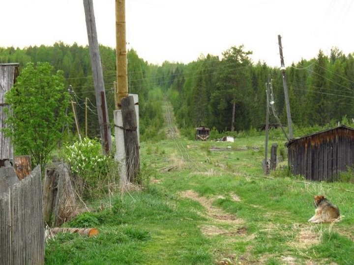 Единственный путь из деревни в цивилизацию. До райцентра Опарино примерно 40 км  история, ссср, факты