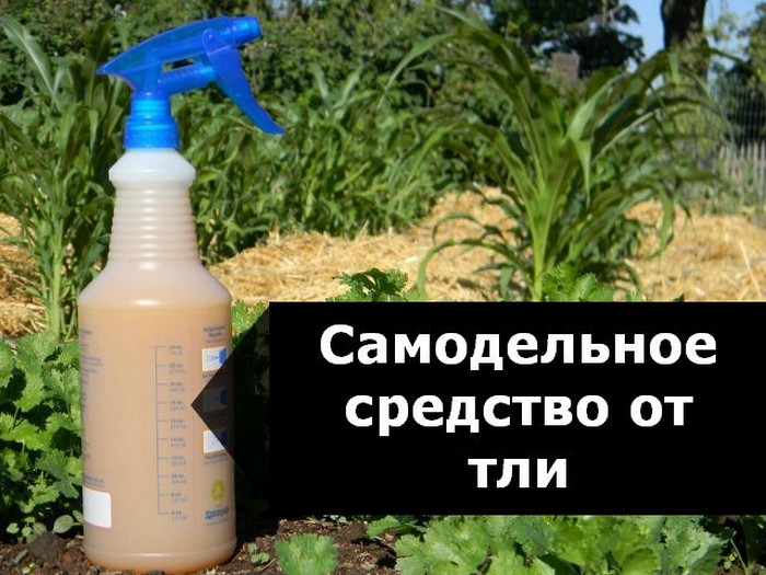 Безопасный пестицид на основе мыльного раствора.
