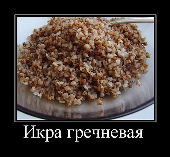 Свежая порция демотиваторов с юмором и приколами для вашего отличного настроения! 