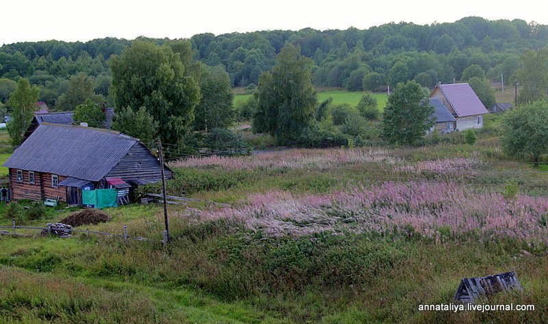 Деревянные сокровища Руси, о которых мало кто не знает зодчество, история, факты, фото