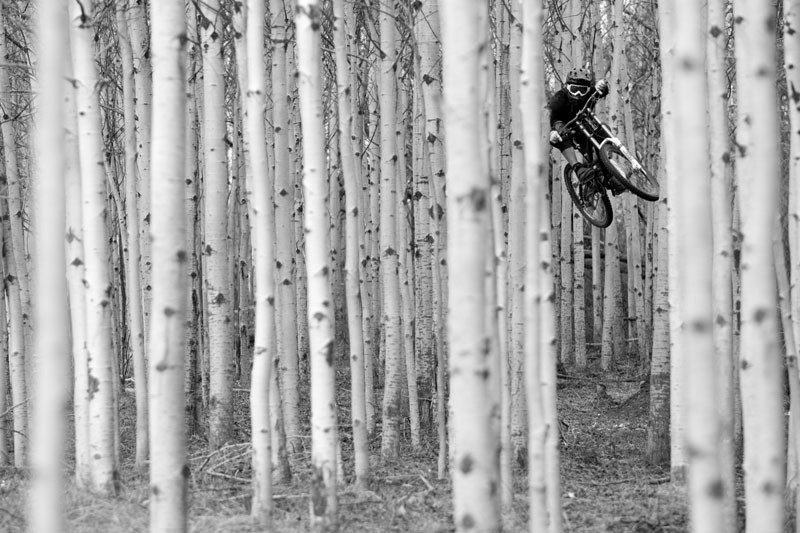 matt hunter jumping through aspen trees in kamloops, british columbia