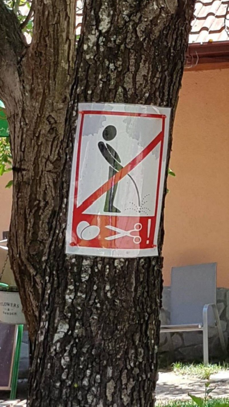 Если родственники вам давно не звонили - значит, у них все хорошо