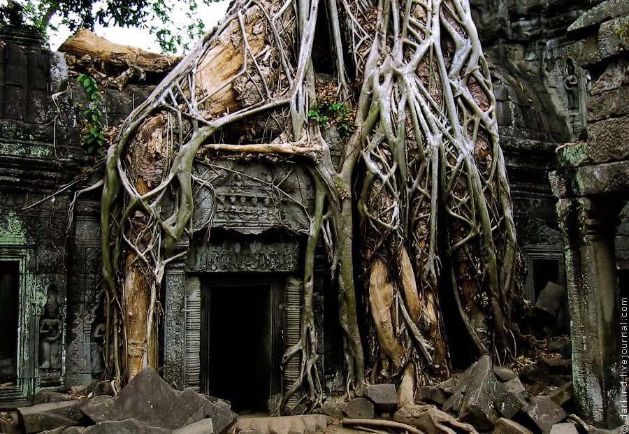 Камбоджийский храм Та Пром (Ta Prohm) и гигантские деревья