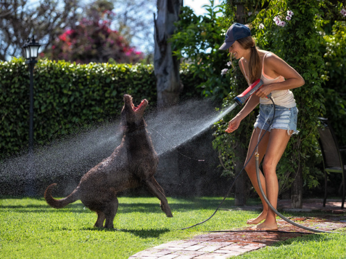 Технические новинки, которые сделают жизнь приятнее и проще техника