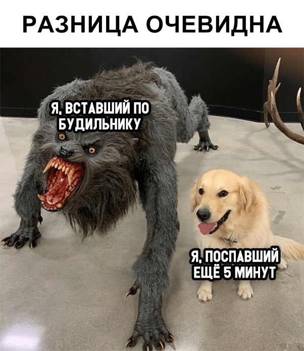 Фотоподборка вторника Фотоподборка вторника юмор