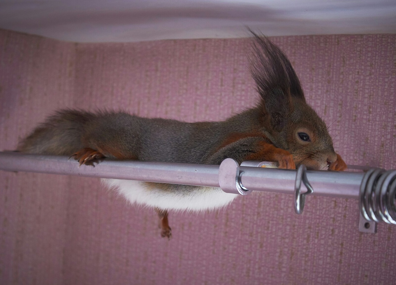 Забавные и прикольные фотографии из нашей жизни Забавные и прикольные фотографии из нашей жизни приколы,смешные картинки,угарные фотки,фото приколы