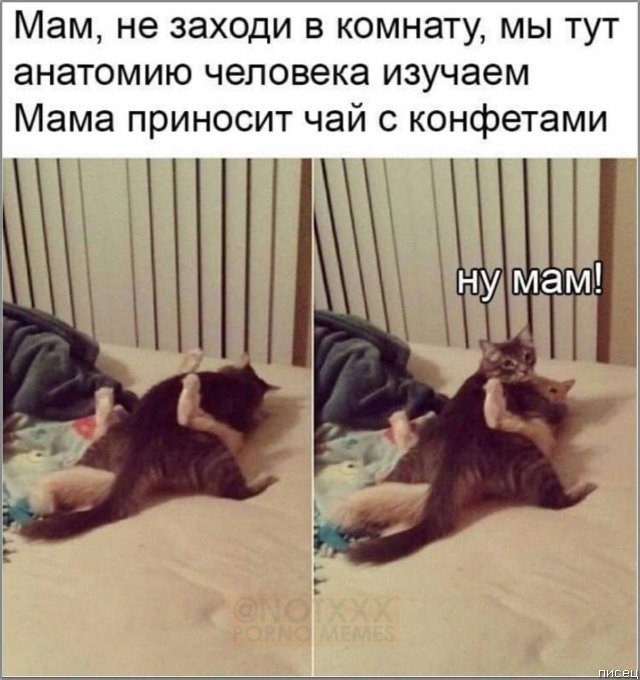 25 приколов января позитив,смешные картинки,юмор