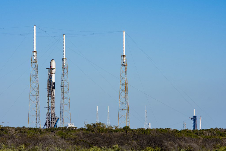 Источник изображения: SpaceX