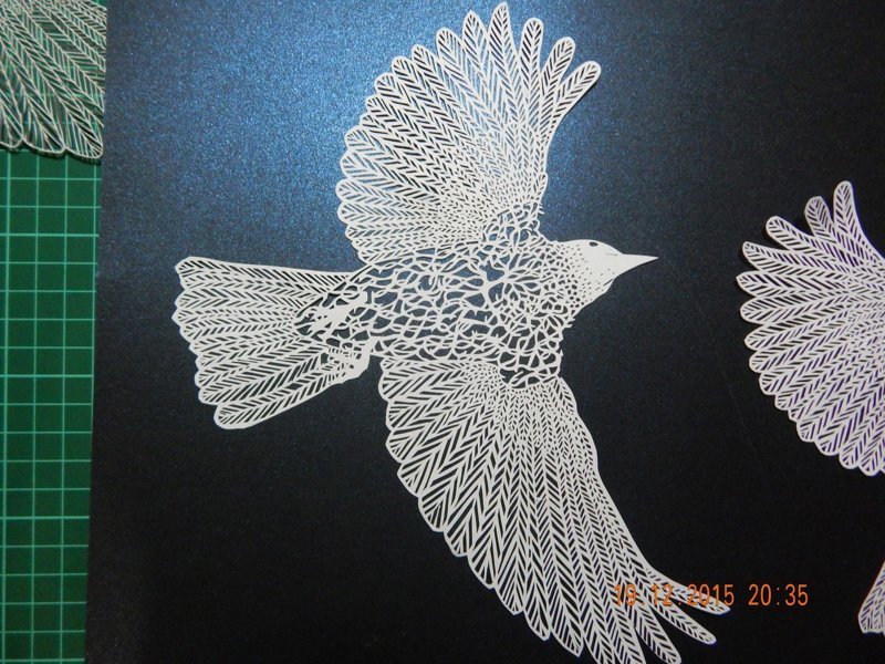 Дедушка из Пскова восхитил интернет своими невероятными картинами из бумаги Дедушка из Пскова восхитил интернет своими невероятными картинами из бумаги