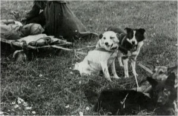 ��� �����. ����� ������������ ������� �����������