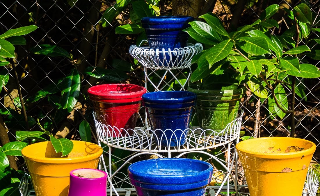 Очередные 10 000 шагов к здоровью Очередные 10 000 шагов к здоровью коронавирус,медицина,общество,яостаюсьдома