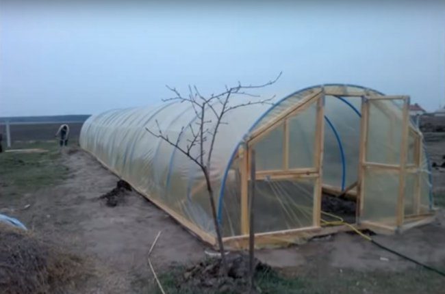 Бюджетная теплица из труб ПВХ
