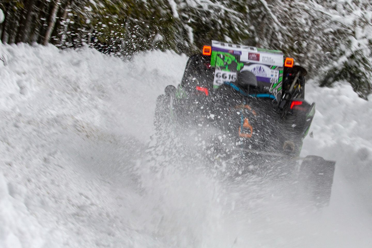 сфр северная. северный лес. сфр центрального района. стд-сфр. управление сфр москва.