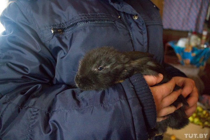 Пограничная жизнь. История полуслепой Анны и ее 13-летнего сына, который кормит семью истории, отношения, семья, факты