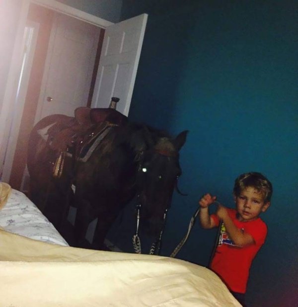 Фотоподборка вторника Фотоподборка вторника юмор