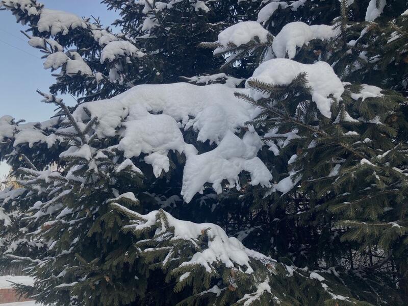 28 января в Забайкалье пройдёт небольшой снег