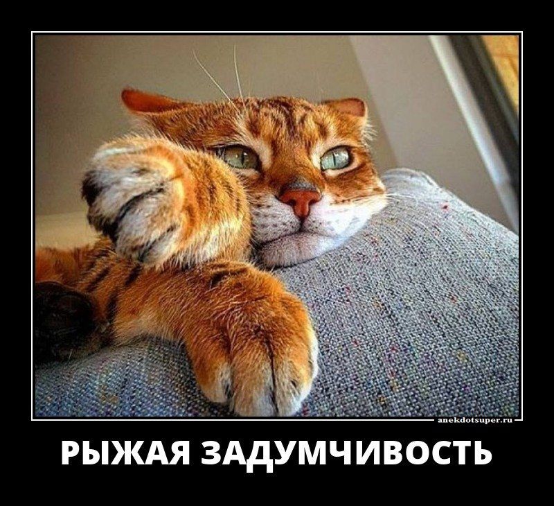 Прикольные, смешные и веселые демотиваторы для улыбки и хорошего настроения Прикольные, смешные и веселые демотиваторы для улыбки и хорошего настроения демотиваторы свежие,приколы,смешные демотиваторы,юмор