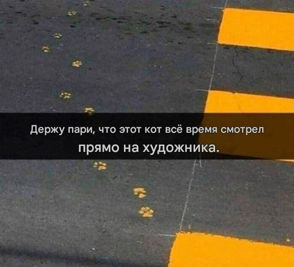 Котомемы для настроения 