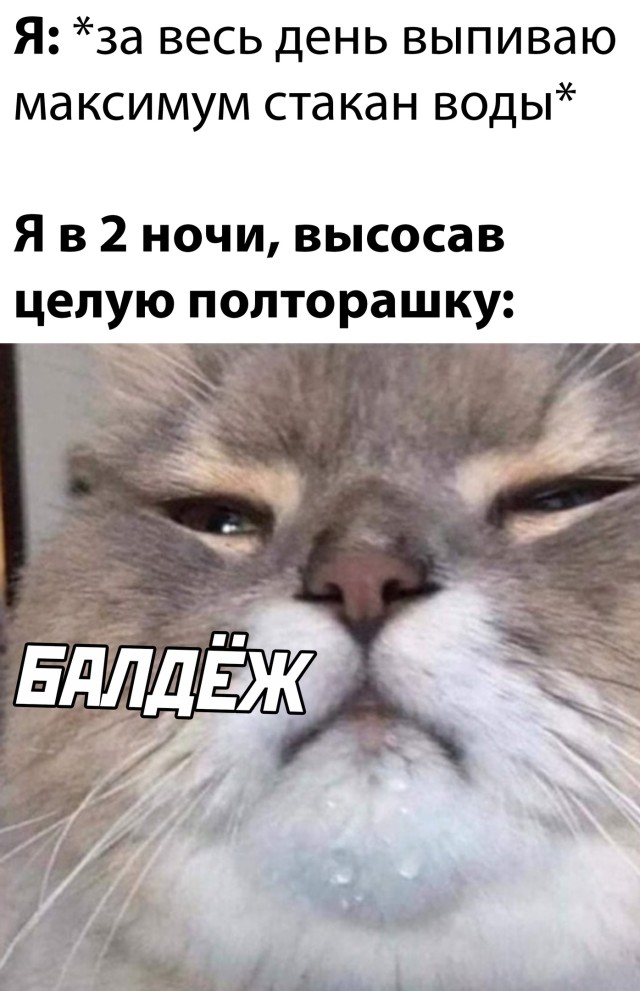 Подборка прикольных картинок Подборка прикольных картинок приколы,смешные картинки,юмор