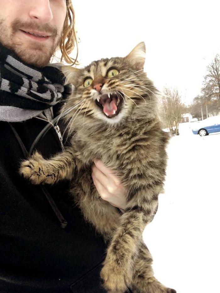 Hildegard's First Snow Experience Is Going Well