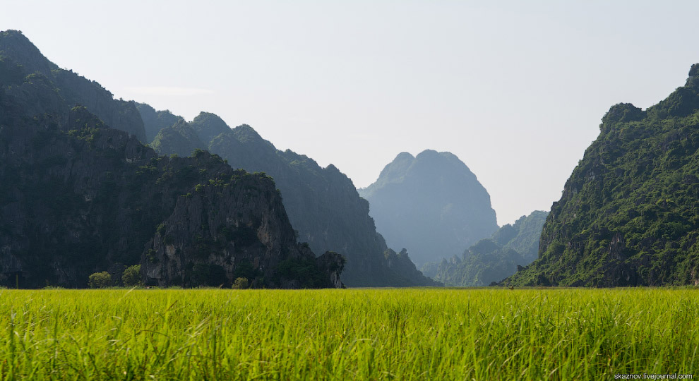 Заповедник водно-болотных угодий Ван Лонг Заповедник водно-болотных угодий Ван Лонг путешествия